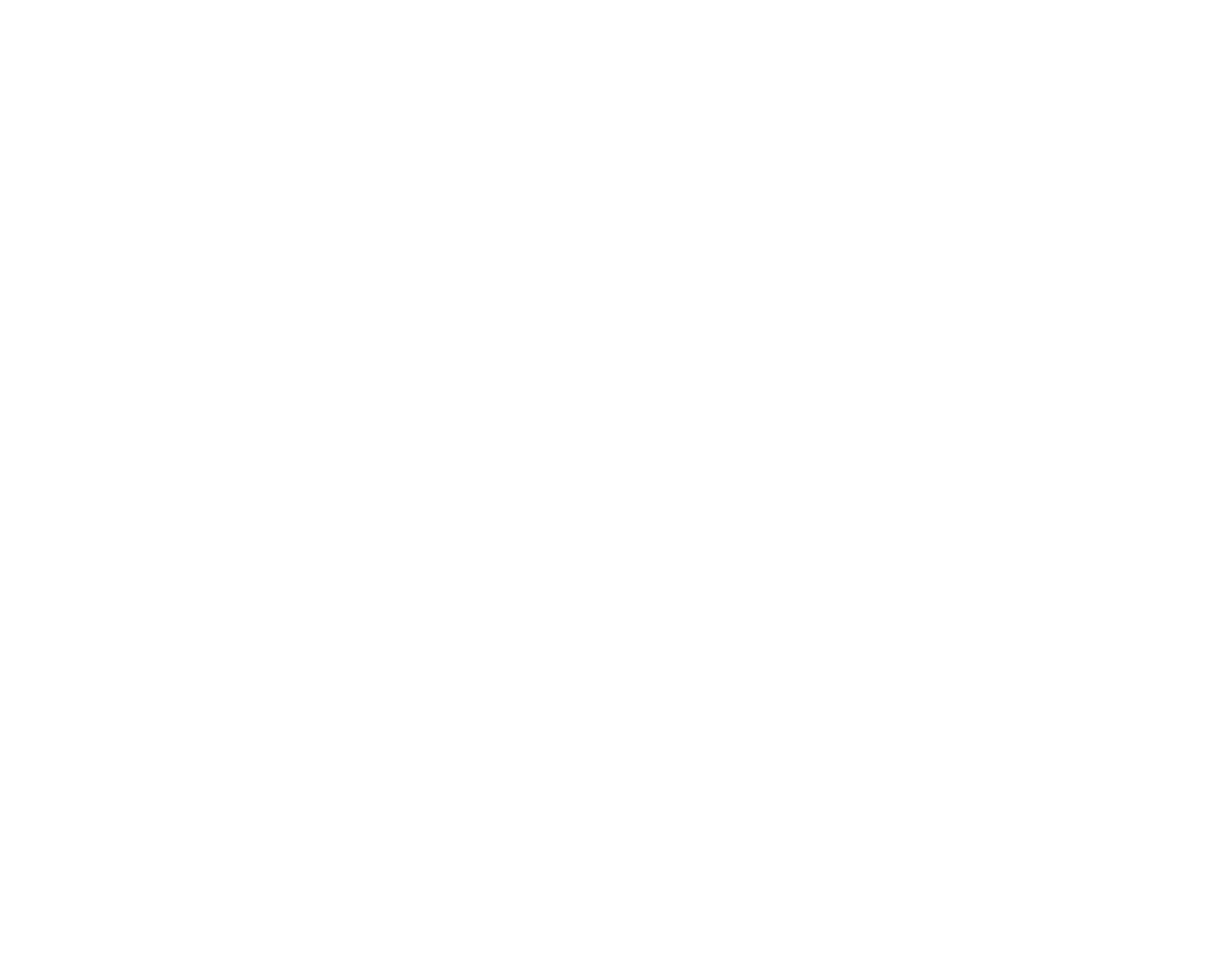 Logo de Village Interactive Studio